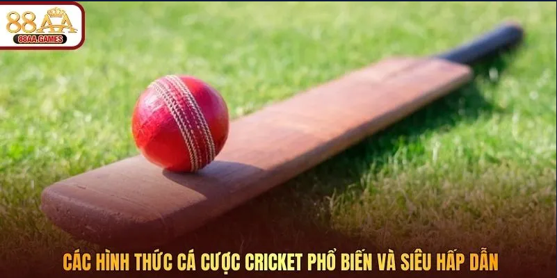 Các hình thức cá cược Cricket phổ biến và siêu hấp dẫn